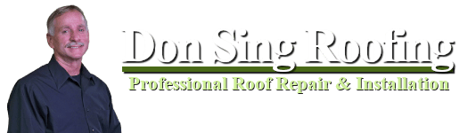 Don Sing Web Logo
